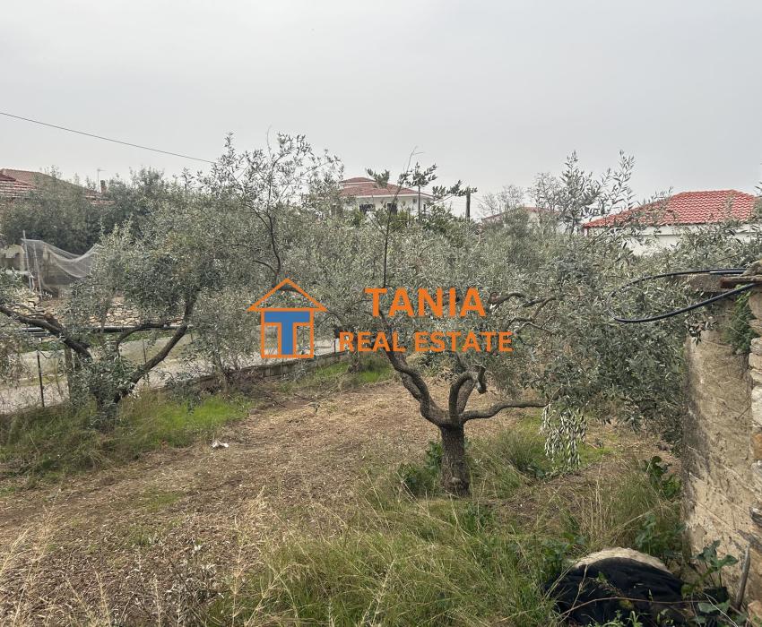 Самостоятелна къща за продажба в Елеохори, Кавала