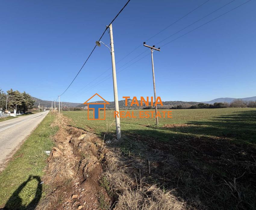 Land for sale in Filipi, Kavala