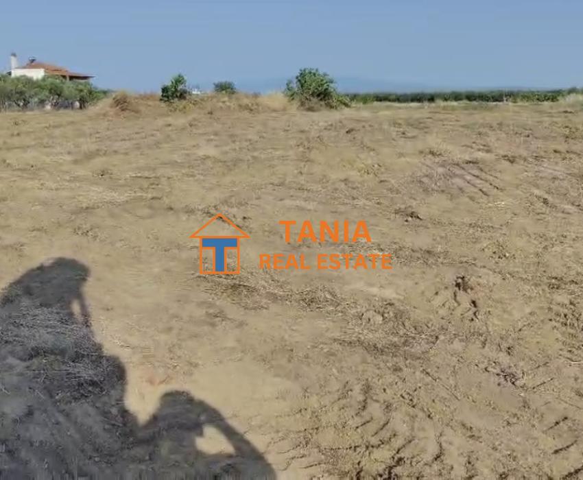 Οικόπεδο προς πώληση στην Κάριανη, Ορφανό