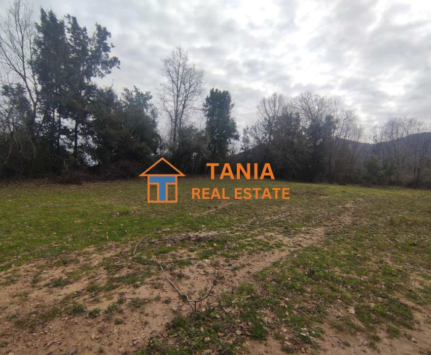 Земя за продажба на о. Тасос, Потамиа