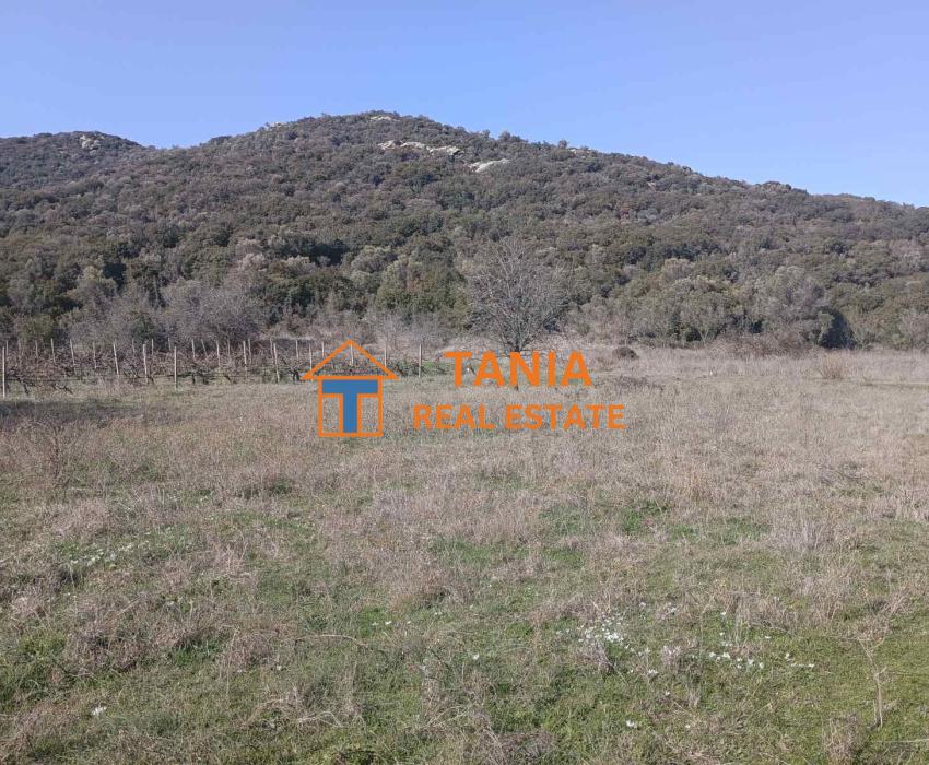 Land for sale in Nea Peramos