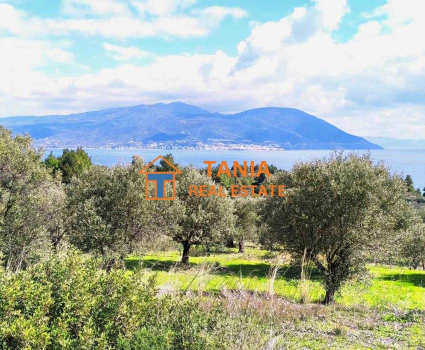 Plot for sale in Evia