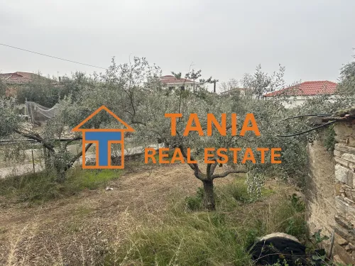 Самостоятелна къща за продажба в Елеохори, Кавала