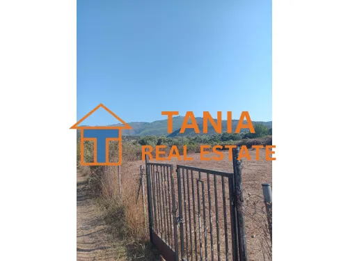 Земя за продажба на о. Тасос, Принос