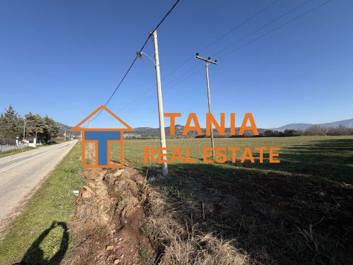 Земя за продажба във Филипи, Кавала