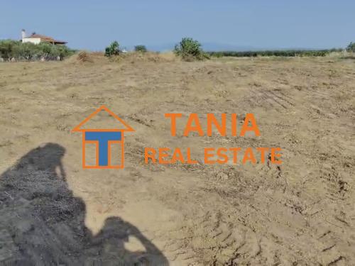 Земя за продажба в Кариани, Орфано