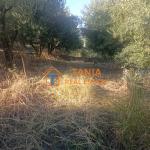 Земя за продажба в Хрисуполи