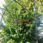 Самостоятелна къща за продажба в Кокинохома, Елефтеруполи
