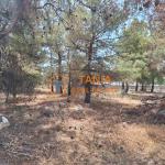 Οικόπεδο προς πώληση στη Θάσο, Αστρίδα