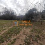 Земя за продажба на о. Тасос, Потамиа