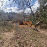 Земя за продажба на о. Тасос, Потамиа