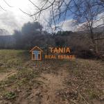 Земя за продажба на о. Тасос, Потамиа