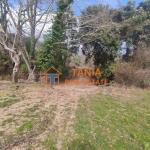 Земя за продажба на о. Тасос, Потамиа