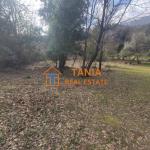 Земя за продажба на о. Тасос, Потамиа