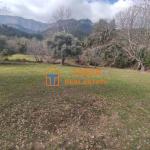 Земя за продажба на о. Тасос, Потамиа