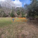 Земя за продажба на о. Тасос, Потамиа