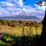 Plot for sale in Evia
