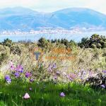 Plot for sale in Evia