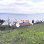 Парцел за продажба на о. Евия