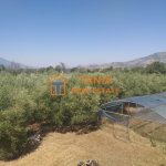 Land with a house for sale in Zigos, Philippi